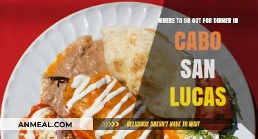 Top Cabo San Lucas Dinner Spots: A Foodie's Guide to Nightlife