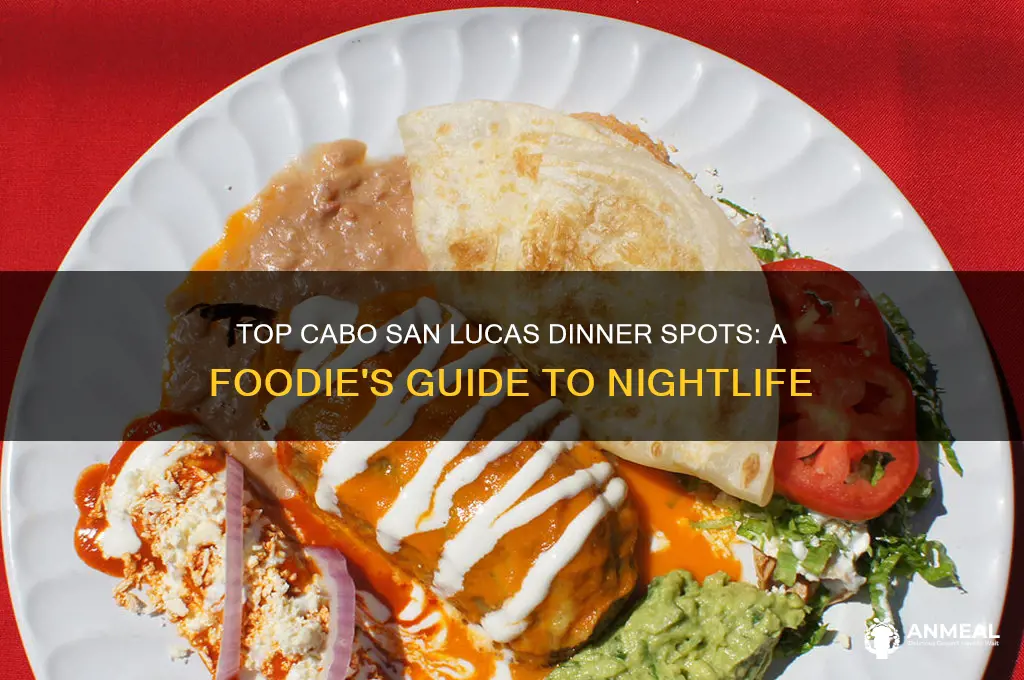 where to go out for dinner in cabo san lucas