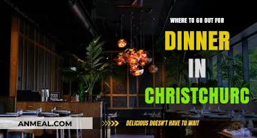 Christchurch's Top Dinner Spots: A Guide to Evening Dining