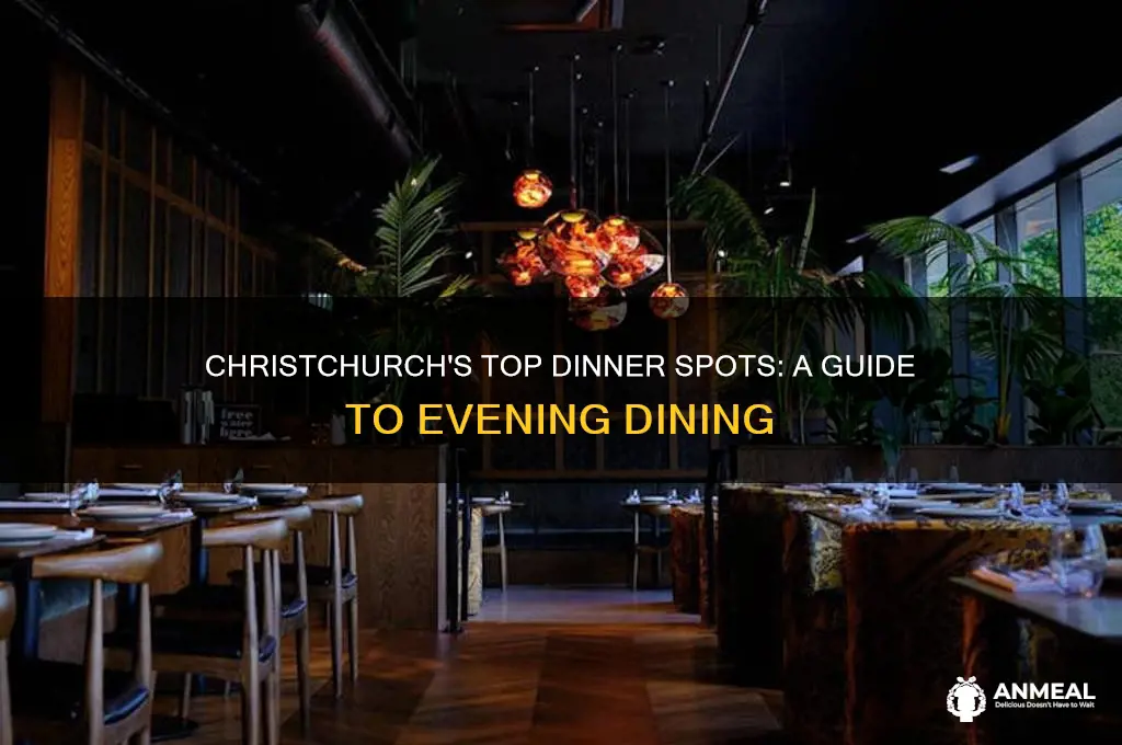 where to go out for dinner in christchurch