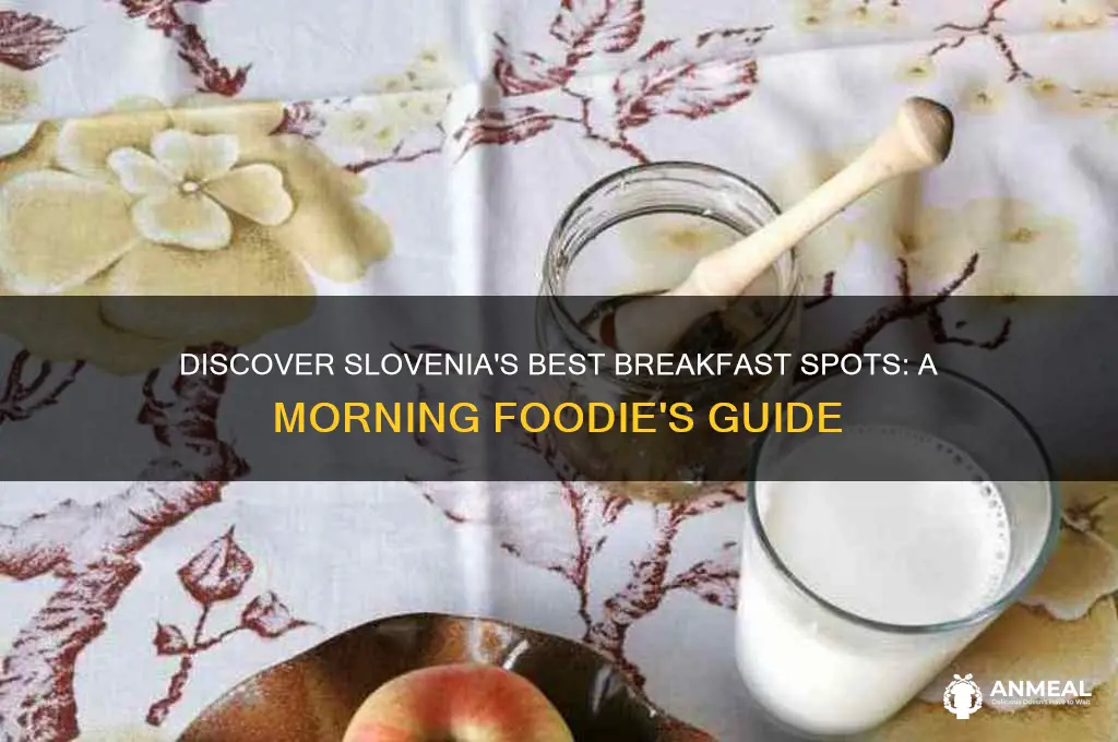where to go to breakfast in slovenia