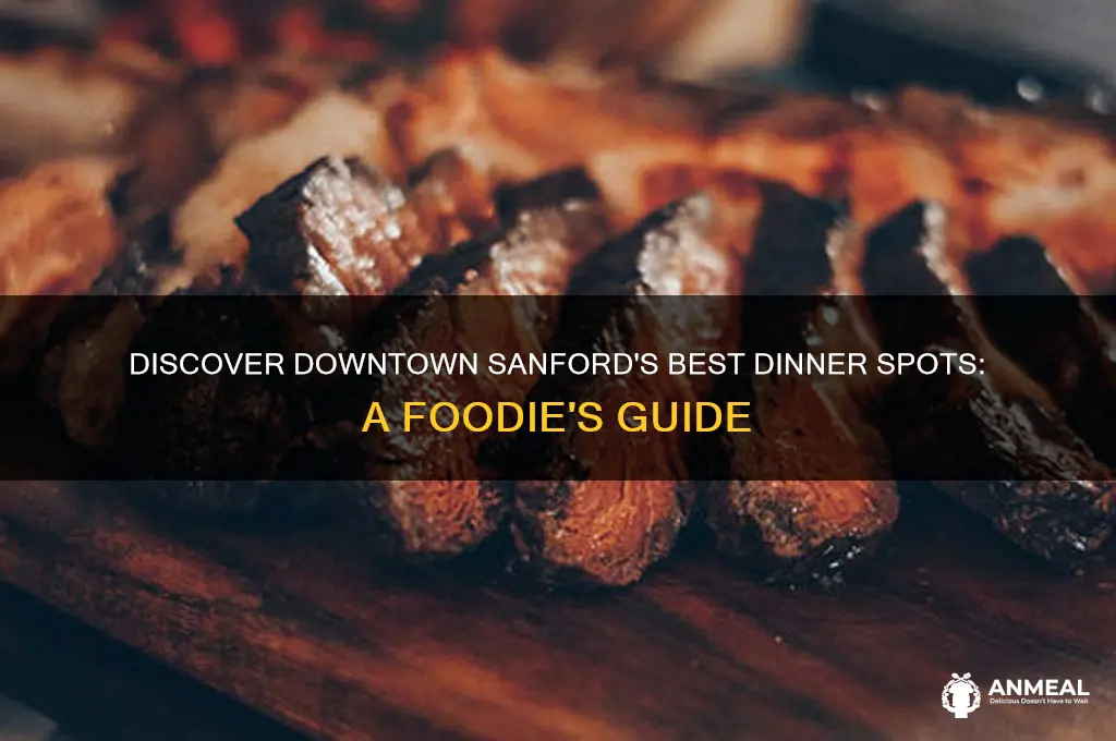 where to go to dinner downtown sanford