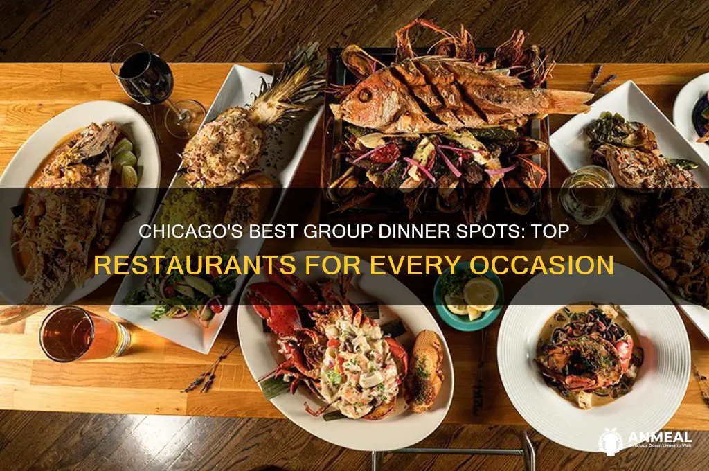 where to go to dinner group chicago