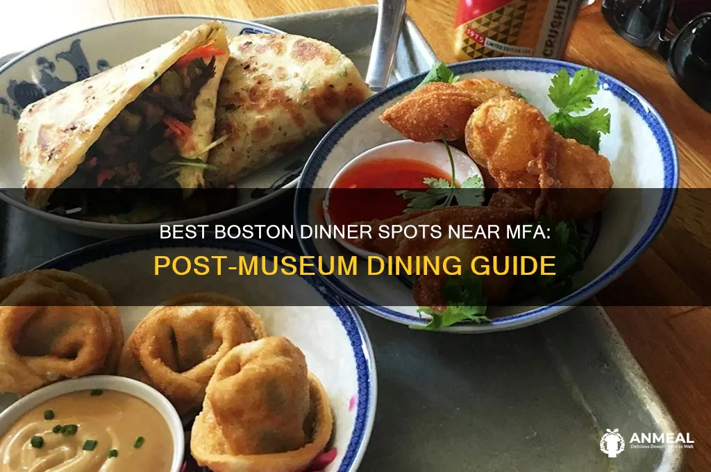 where to go to dinner in boston after mfa
