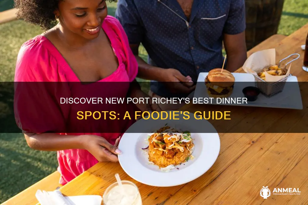 where to go to dinner in new port richey