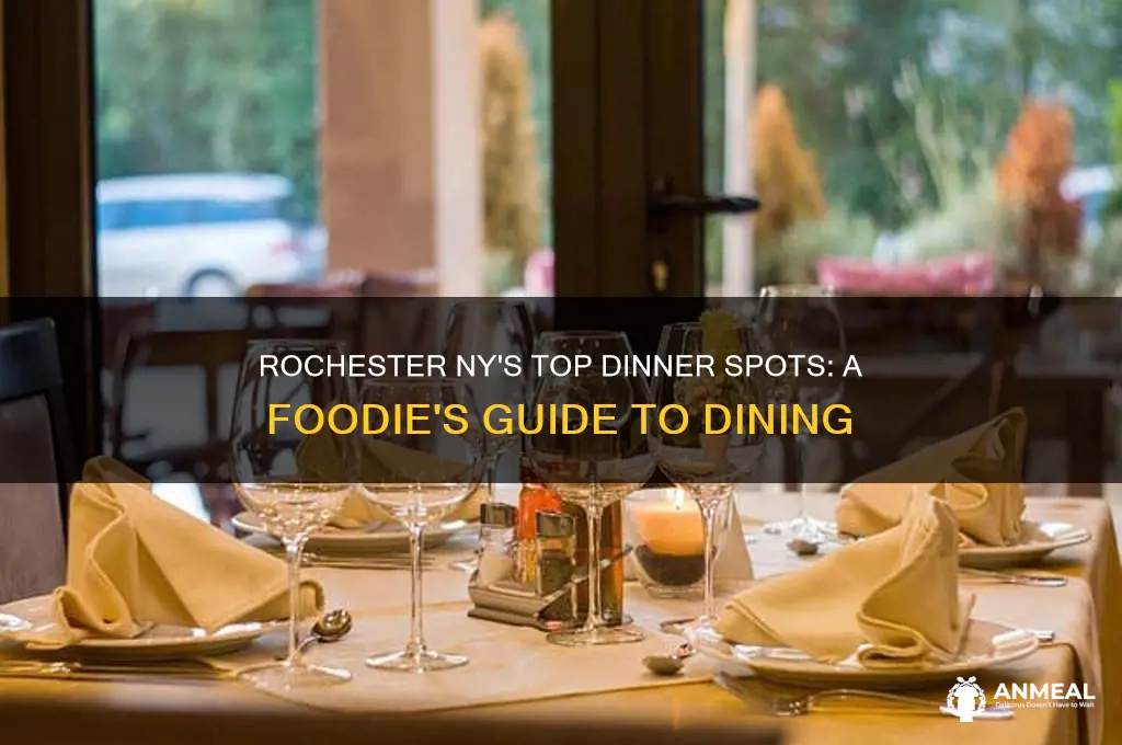 where to go to dinner in rochester ny