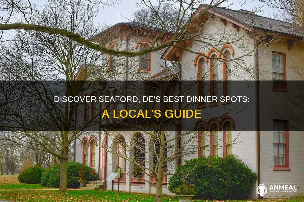 where to go to dinner in seaford de