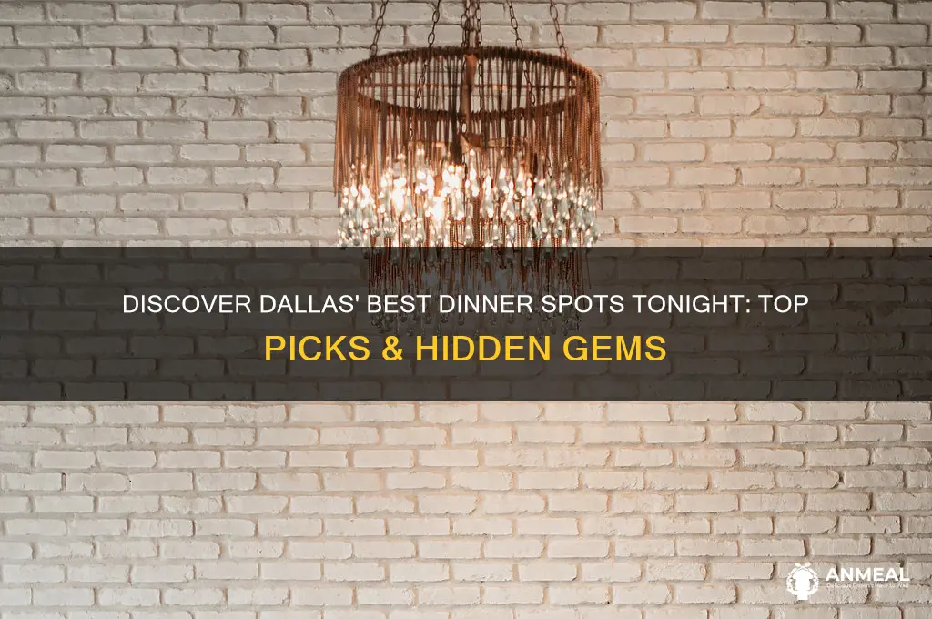 where to go to dinner tonight in dallas