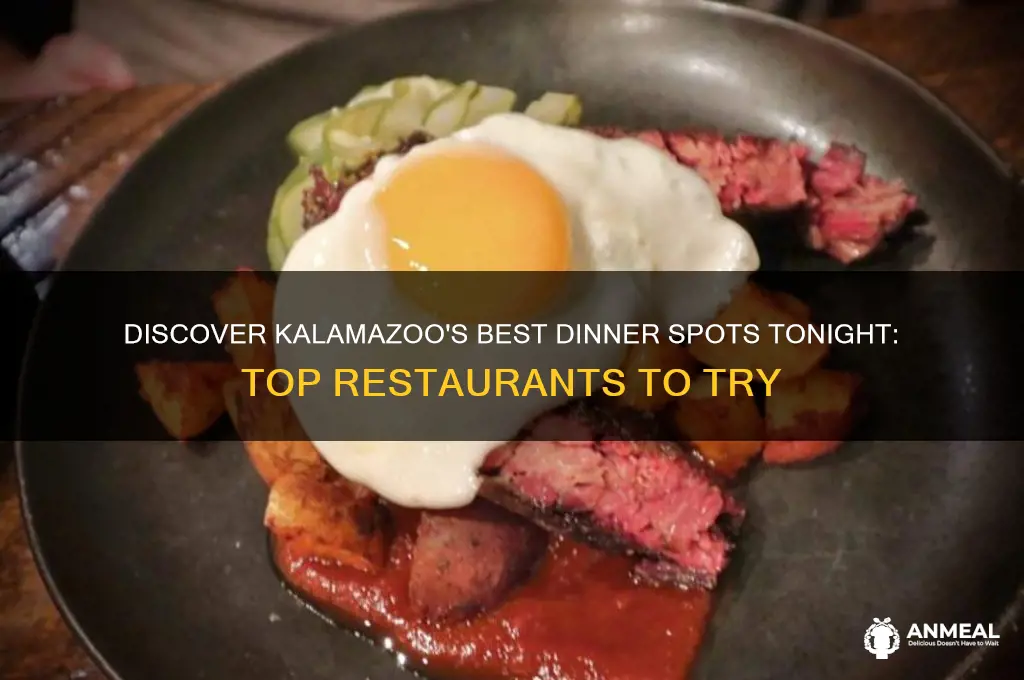 where to go to dinner tonight kalamazoo michigan