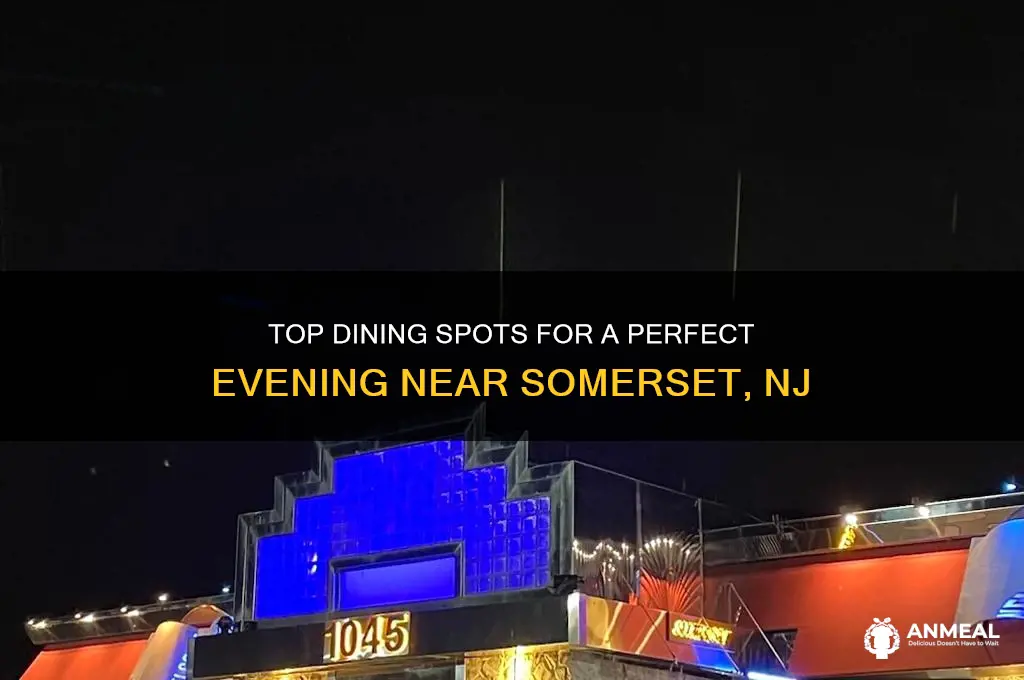 where to go to nice dinner near somerset nj