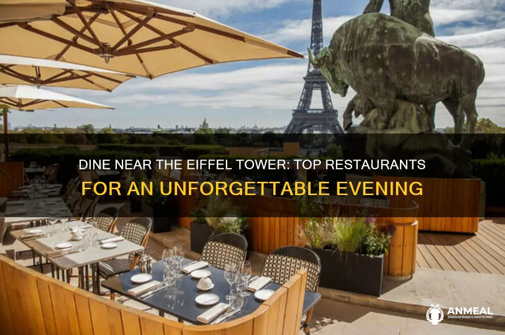 where to grab dinner near eiffel tower