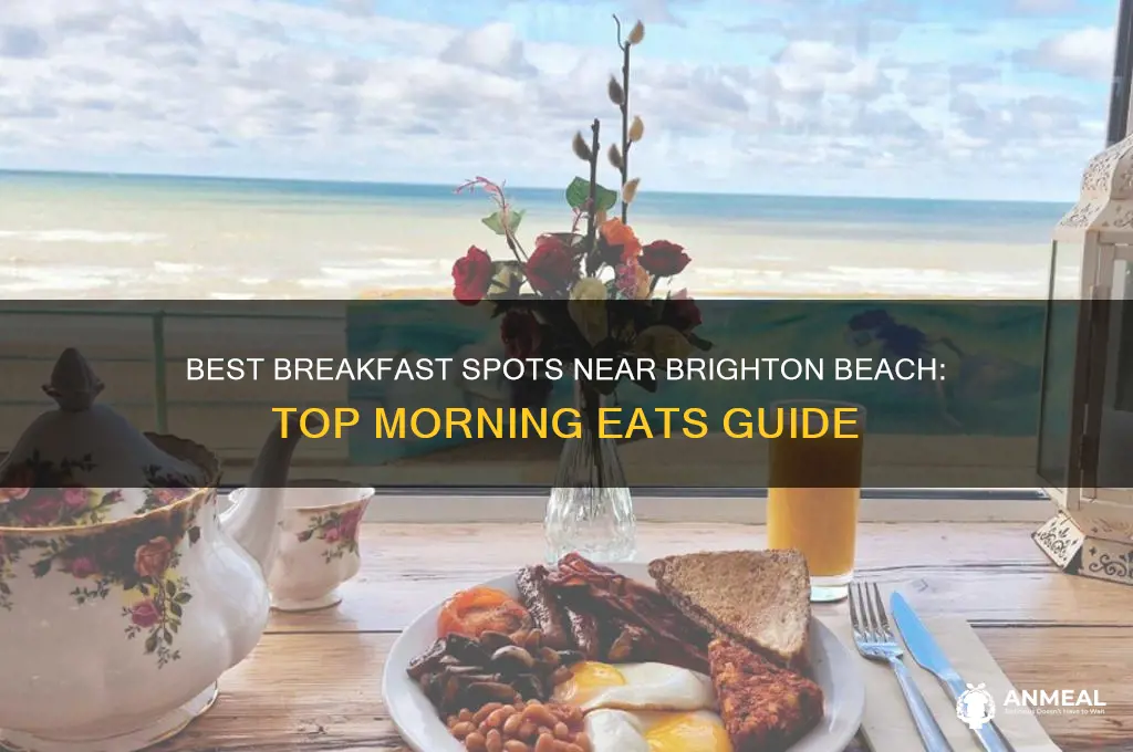 where to have a breakfast near brighton beach