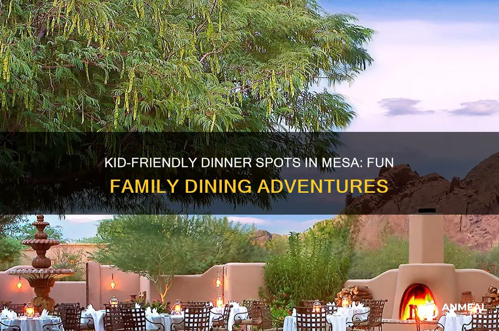 where to have a fun dinner with kids mesa