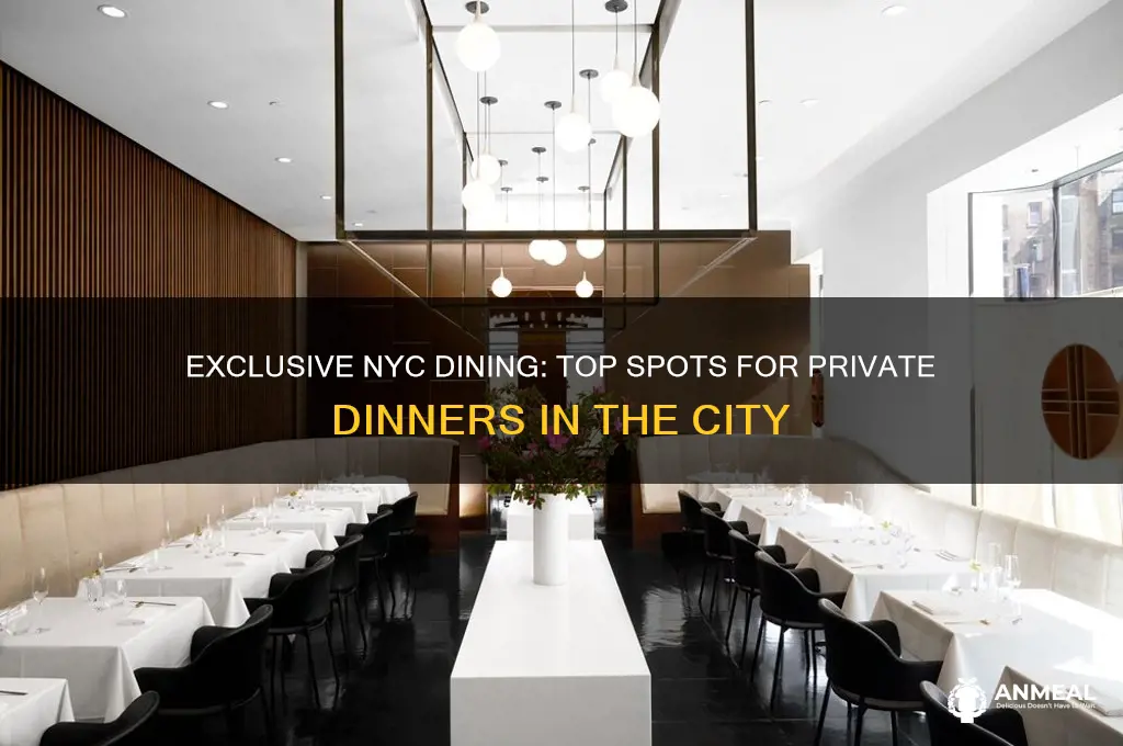 where to have a private dinner in nyc