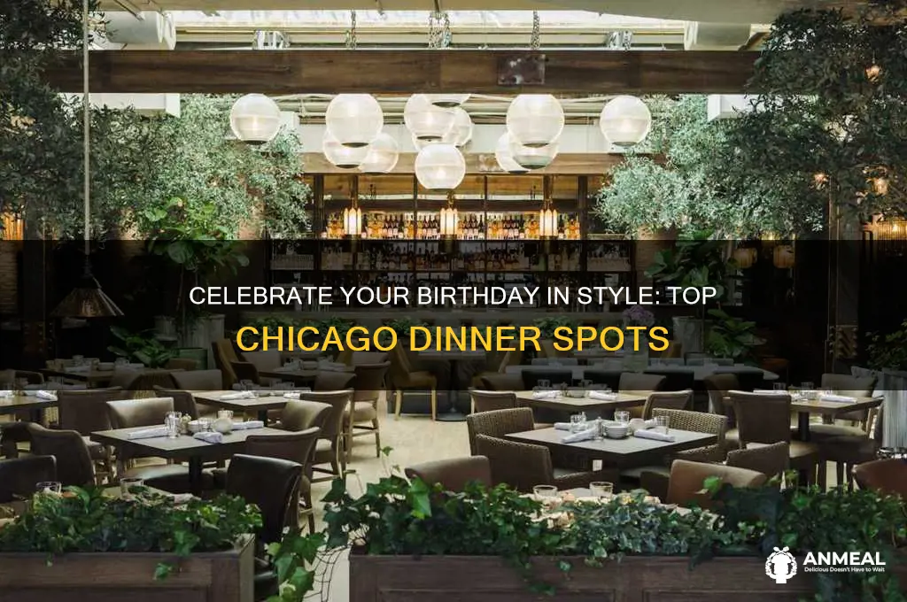 where to have birthday dinner chicago