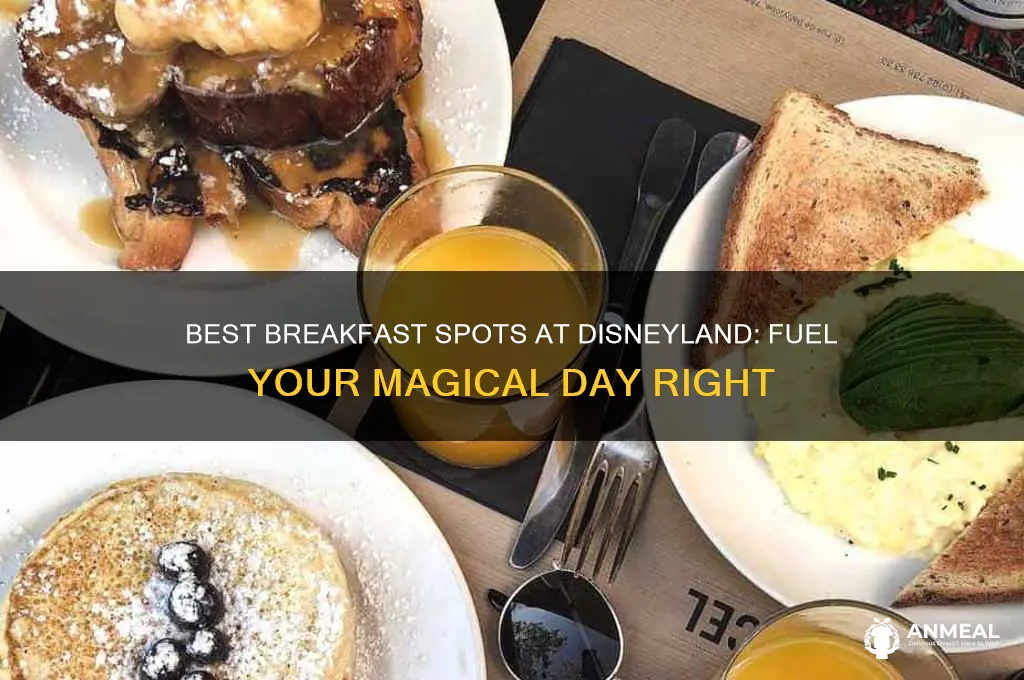 where to have breakfast at disneyland