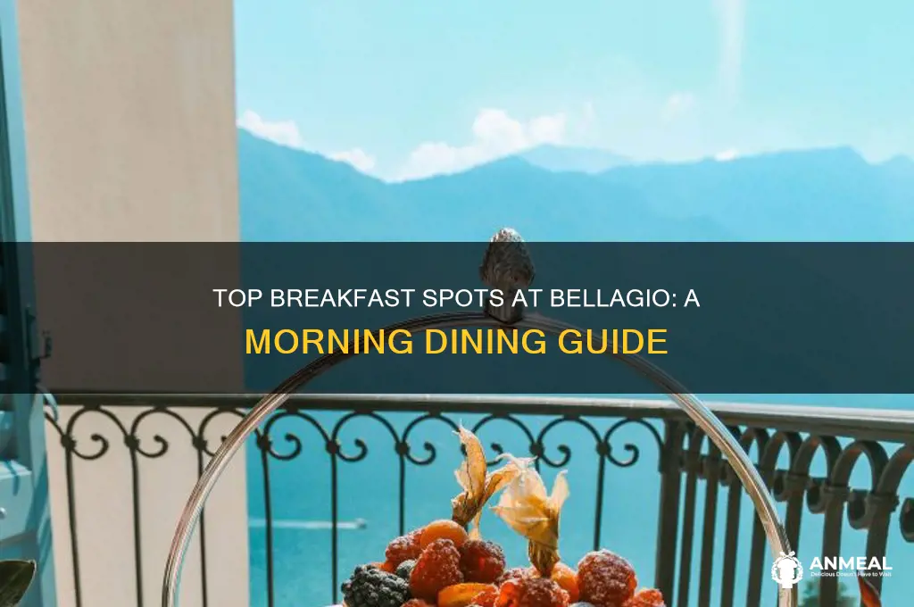 where to have breakfast at the bellagio