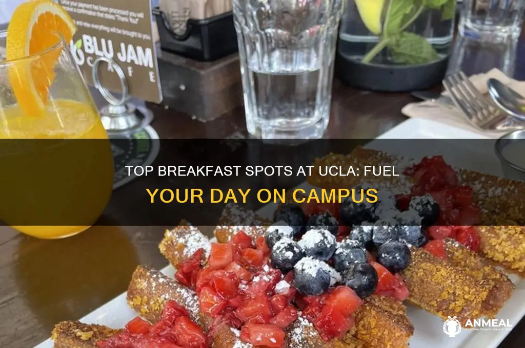 where to have breakfast at ucla campus