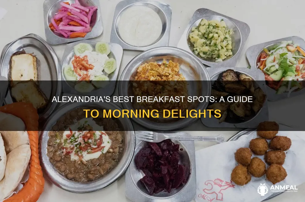 where to have breakfast in alexandria egypt
