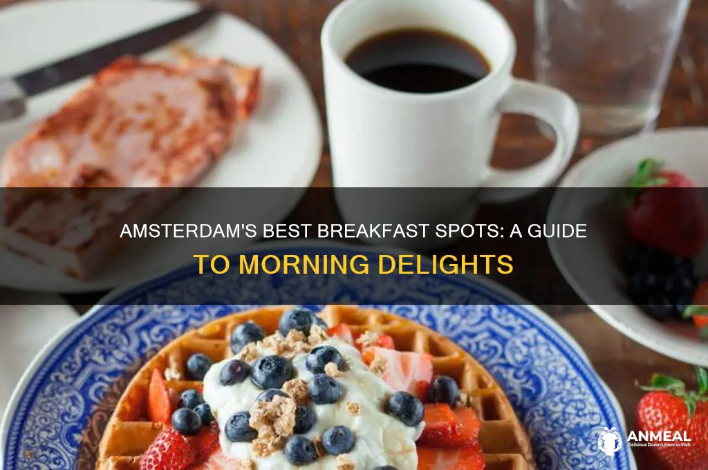 where to have breakfast in amsterdam