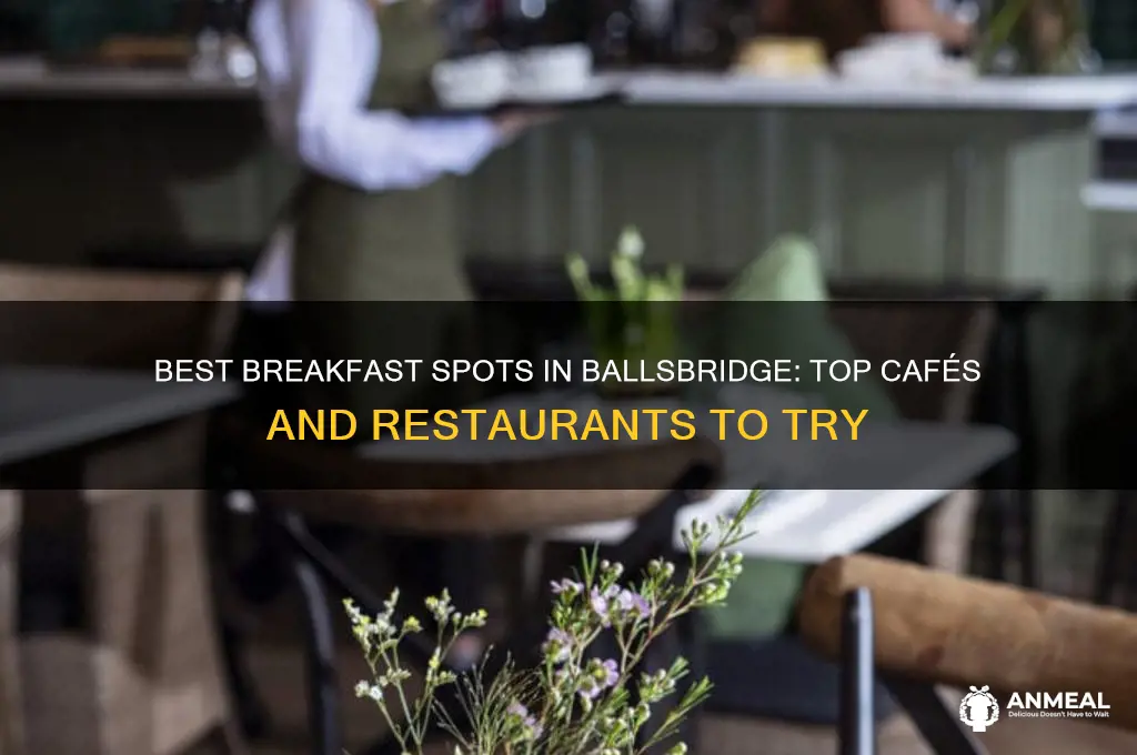 where to have breakfast in ballsbridge