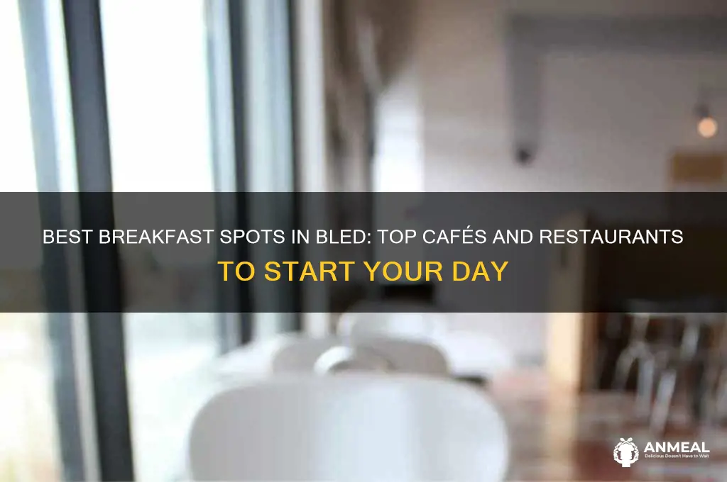 where to have breakfast in bled