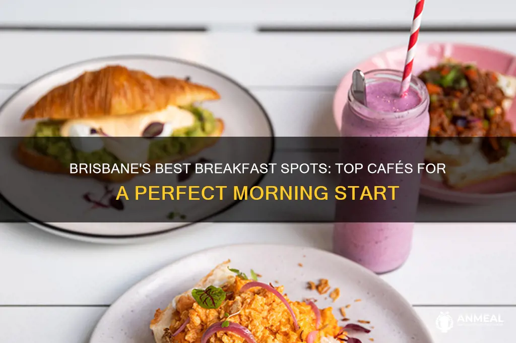 where to have breakfast in brisbane
