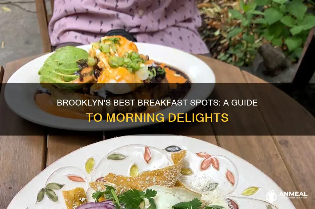 where to have breakfast in brooklyn