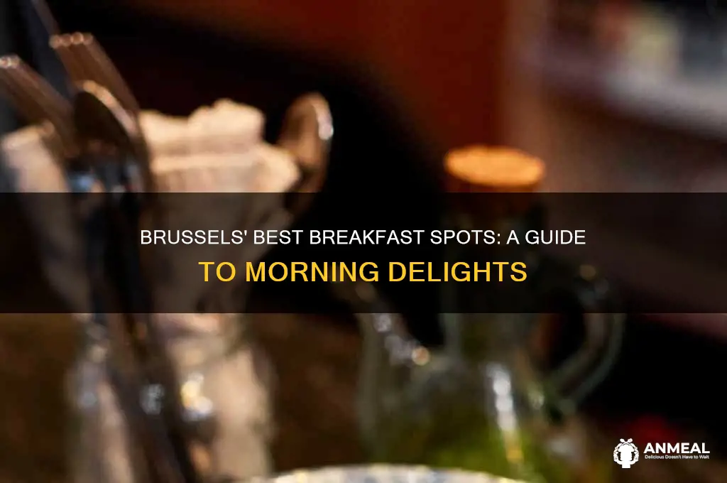 where to have breakfast in brussels