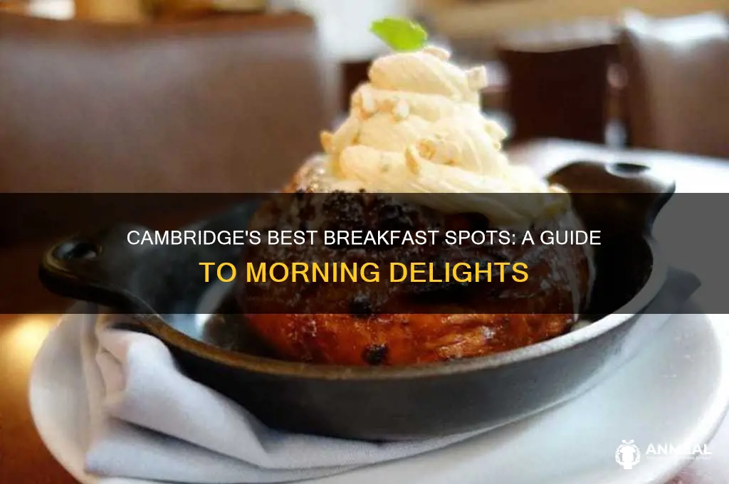 where to have breakfast in cambridge