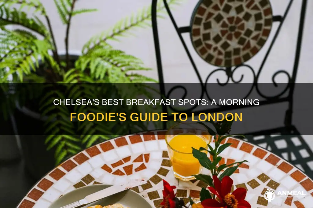 where to have breakfast in chelsea london