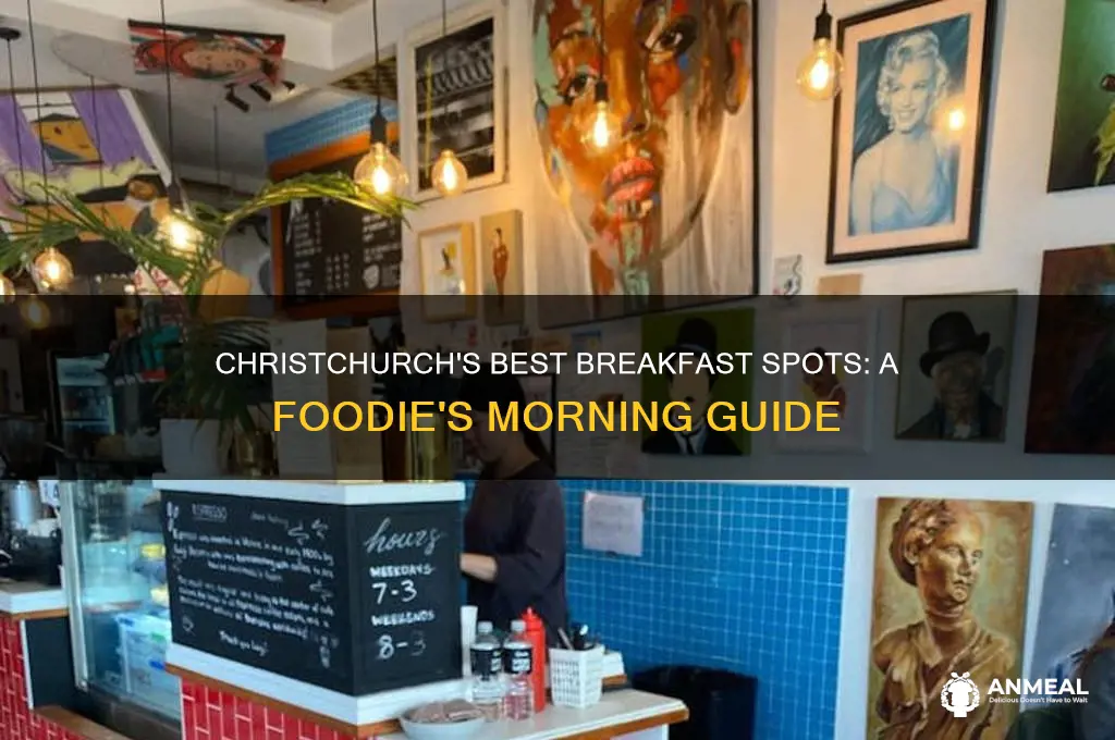 where to have breakfast in christchurch