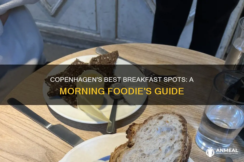 where to have breakfast in copenhagen