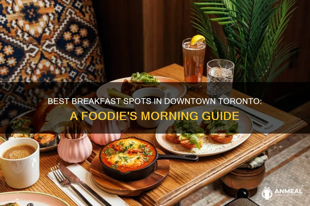where to have breakfast in downtown toronto