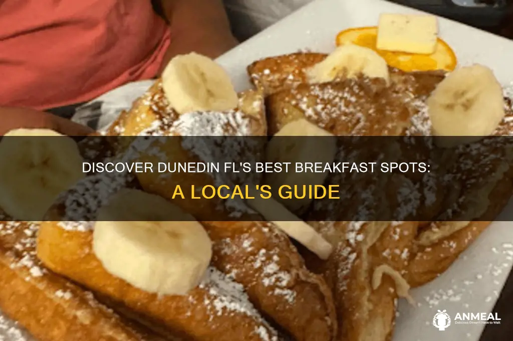 where to have breakfast in dunedin fl
