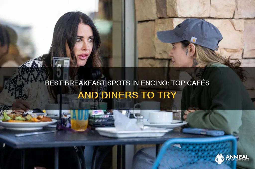 where to have breakfast in encino