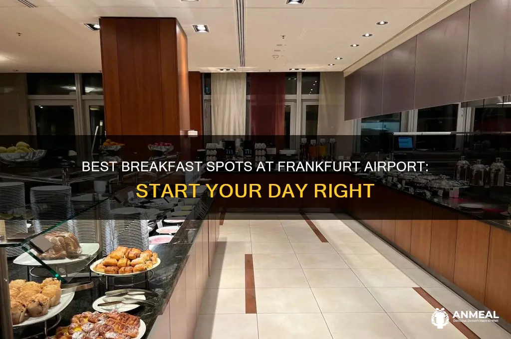 where to have breakfast in frankfurt airport