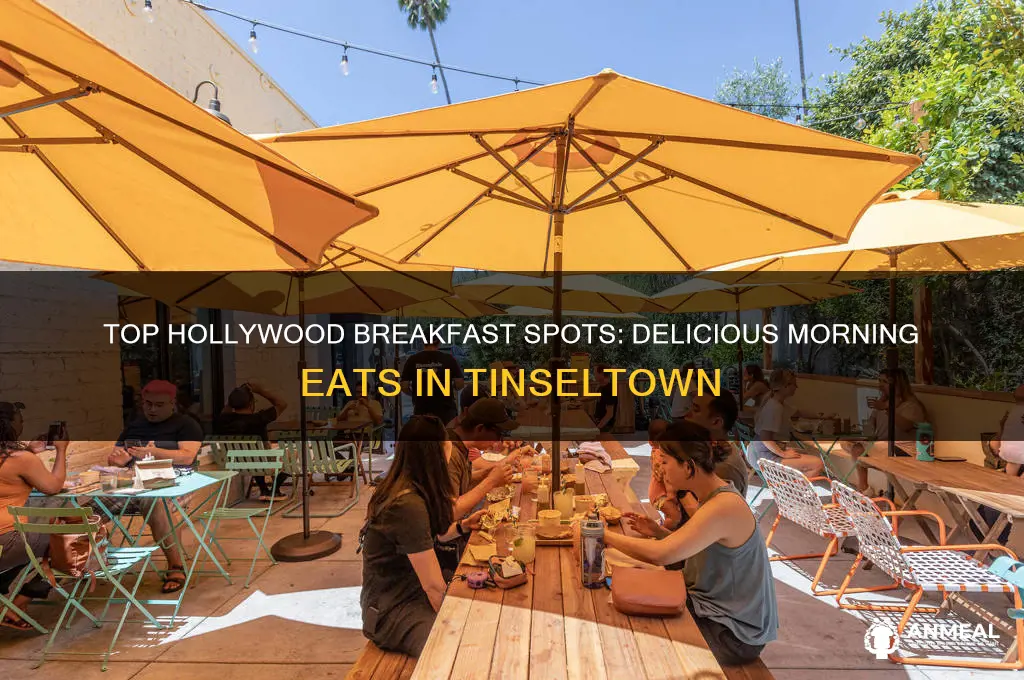 where to have breakfast in hollywood