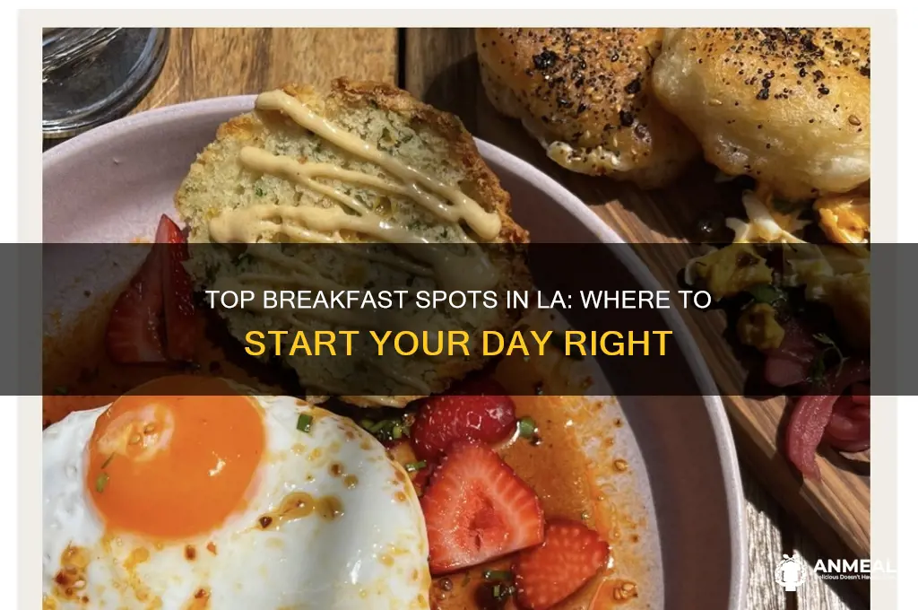 where to have breakfast in los angeles