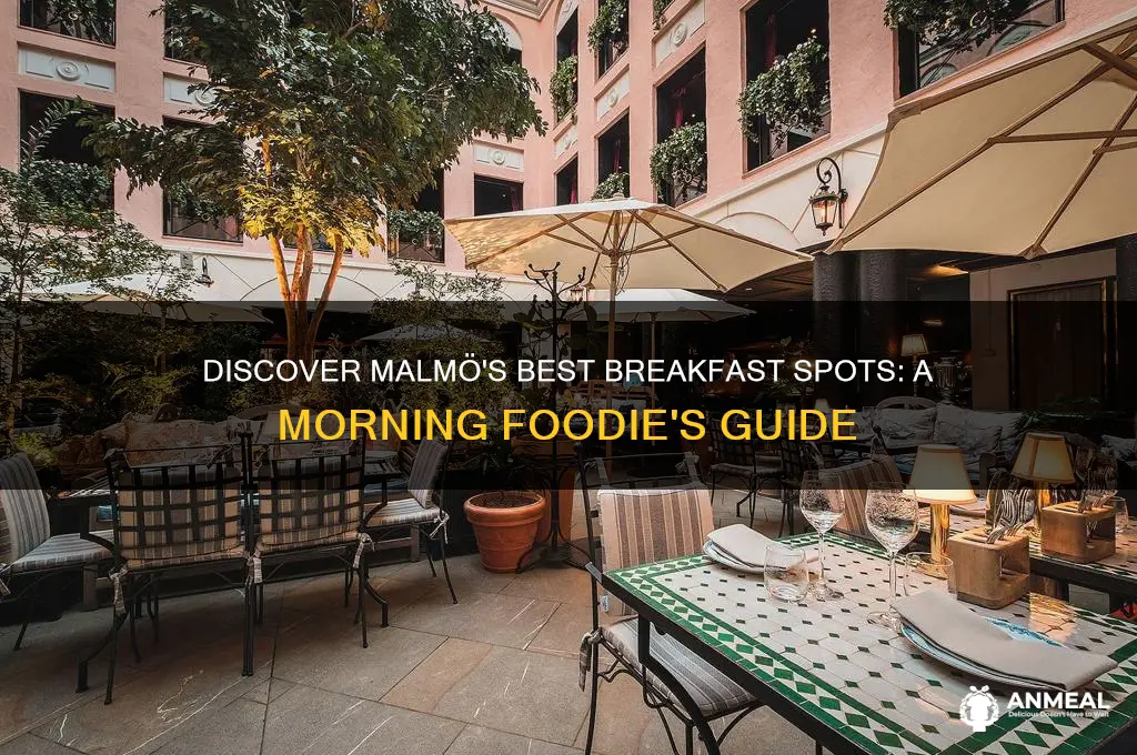 where to have breakfast in malmo