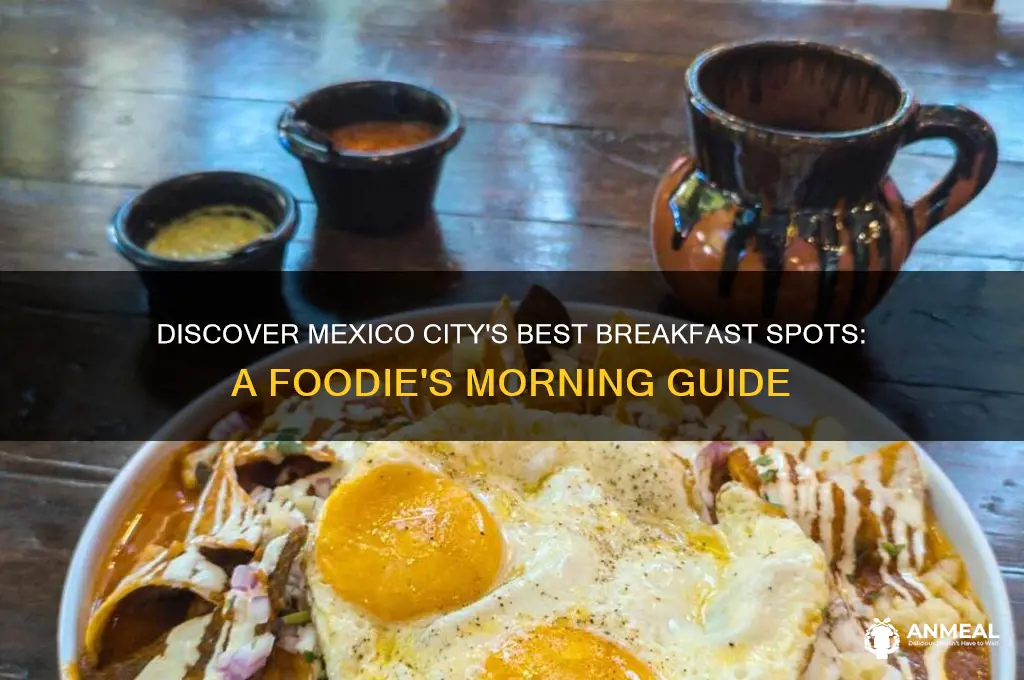 where to have breakfast in mexico city