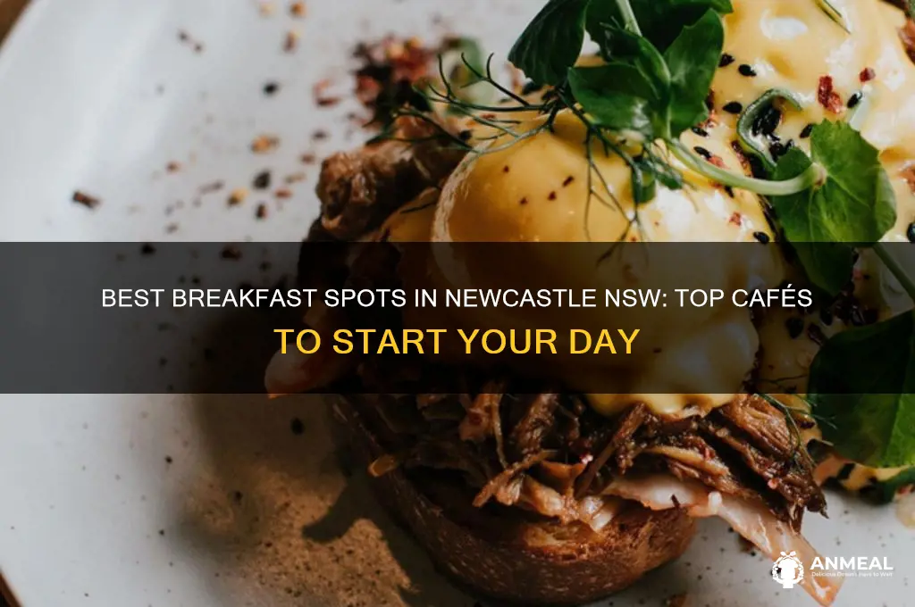 where to have breakfast in newcastle nsw