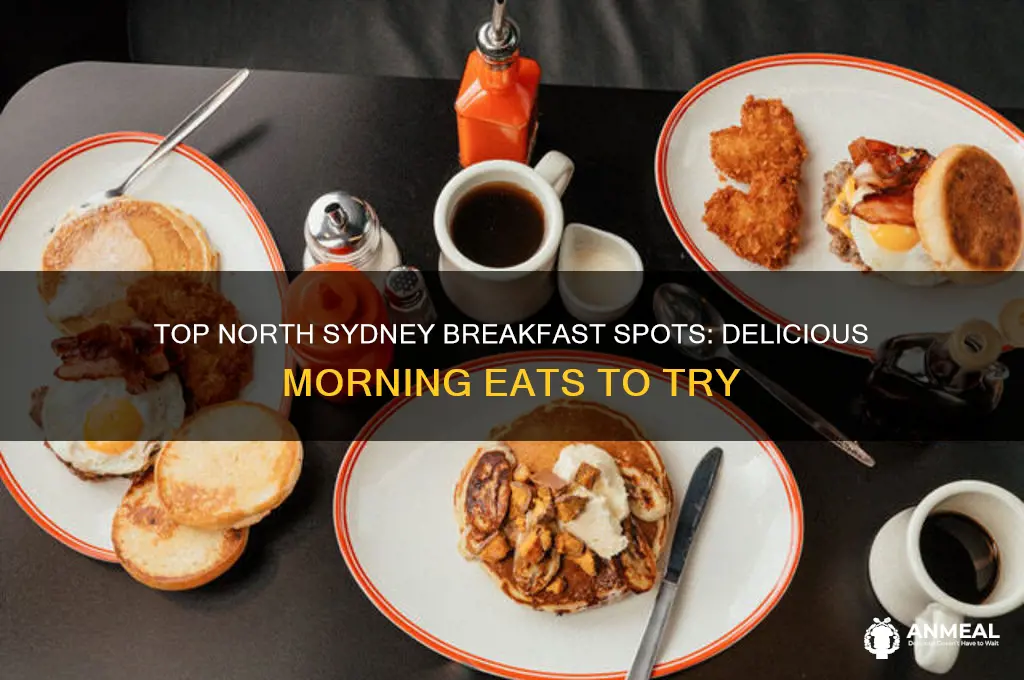 where to have breakfast in north sydney