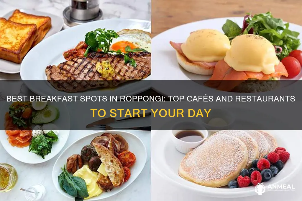where to have breakfast in roppongi
