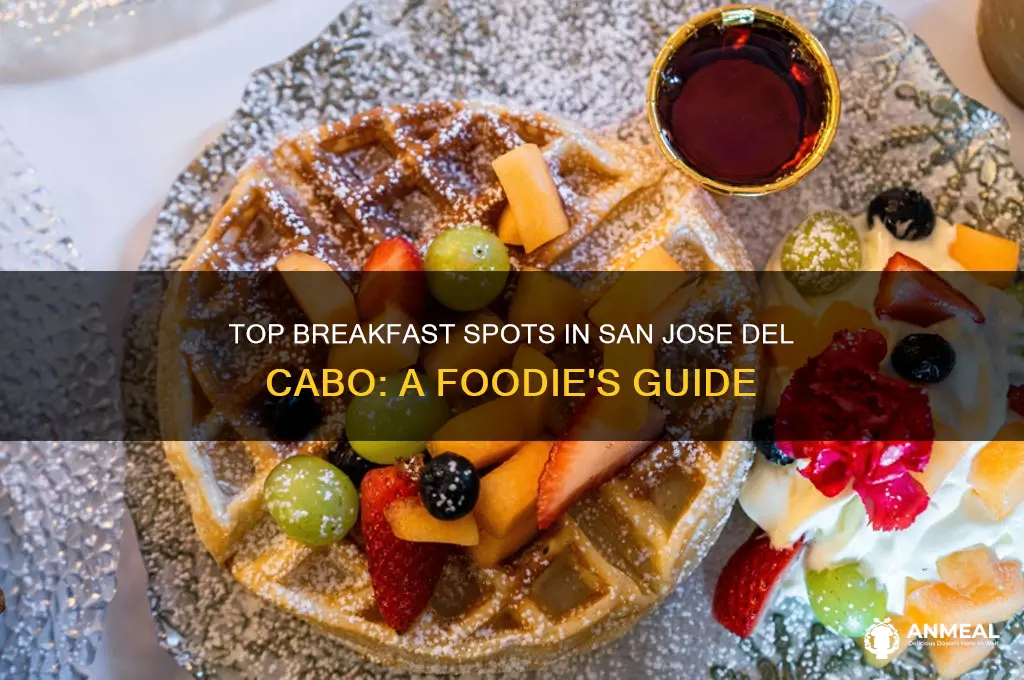 where to have breakfast in san jose del cabo