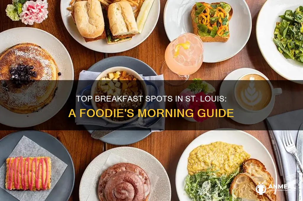 where to have breakfast in st louis