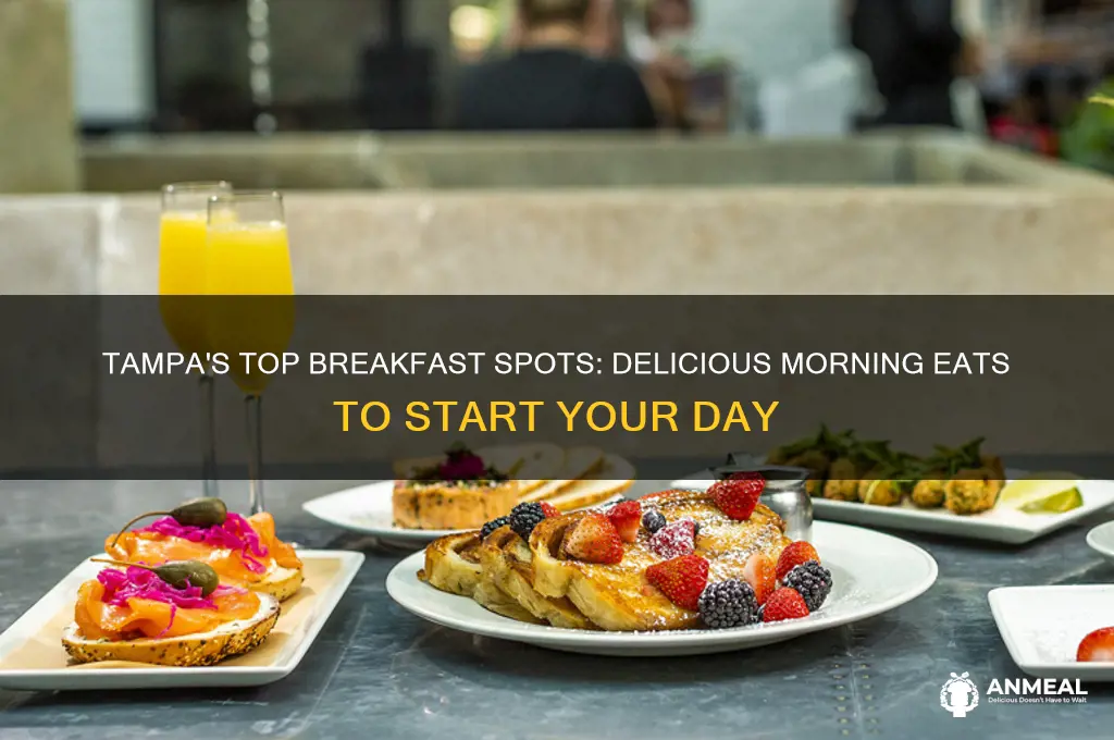 where to have breakfast in tampa