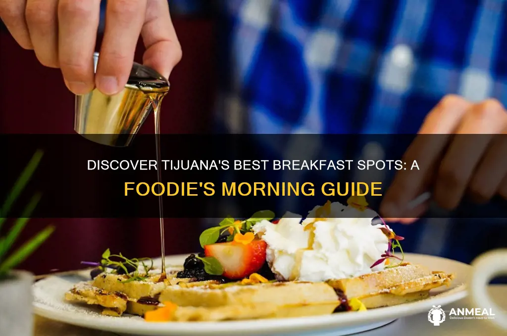 where to have breakfast in tijuana