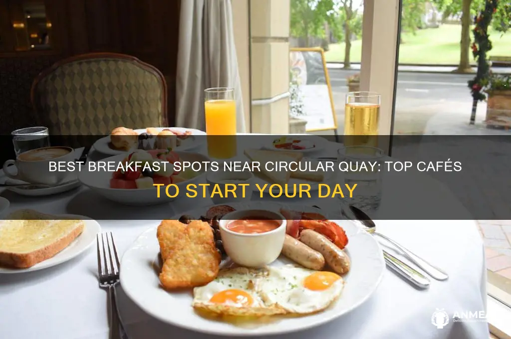 where to have breakfast near circular quay