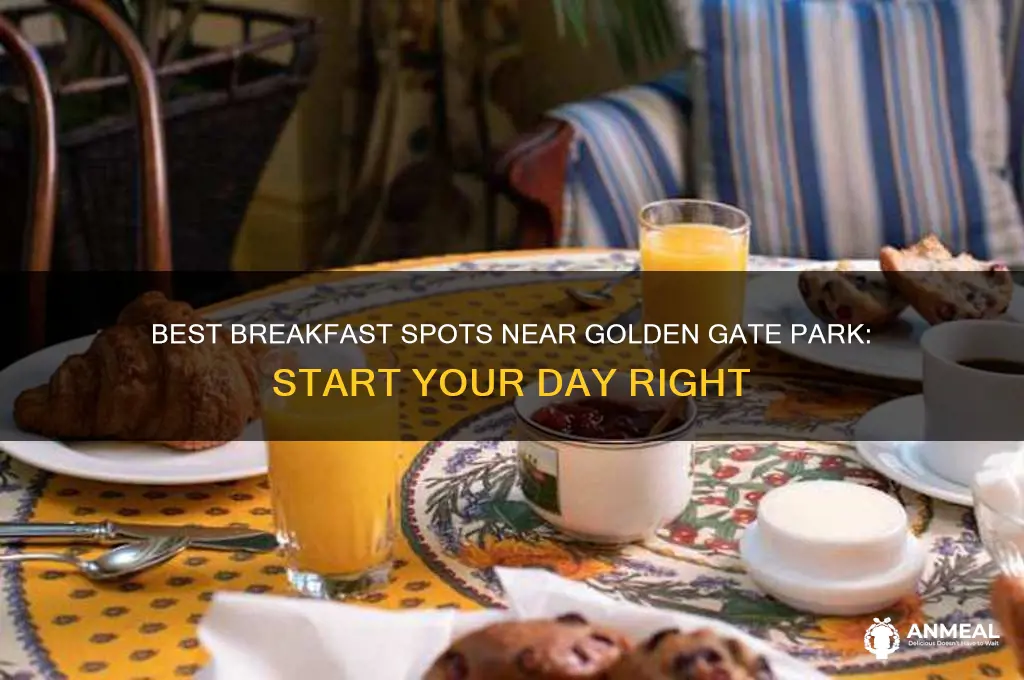 where to have breakfast near golden gate park